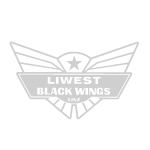 Black Wings Linz